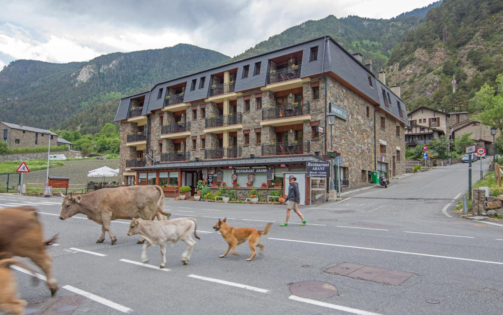 Pierre & Vacances Aparthotel La Tulipa Ordino Luaran gambar
